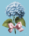 Image Not Available
